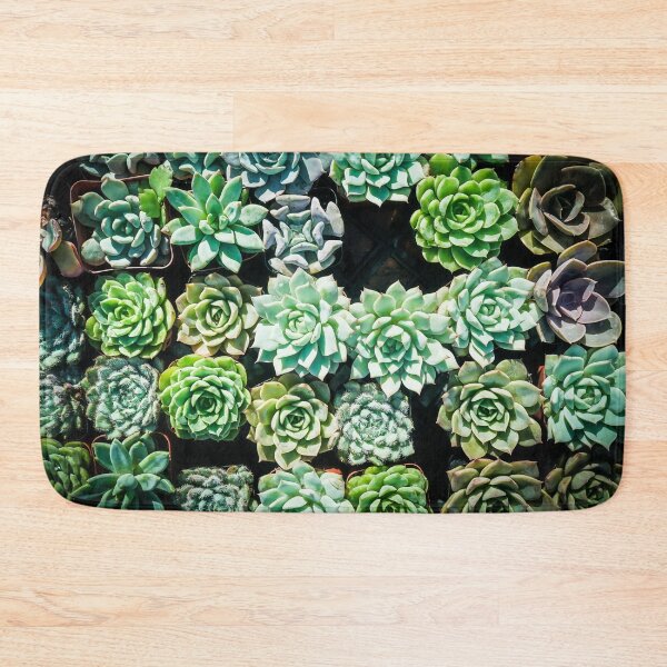 Item preview, Succulents All In a Row 2 designed and sold by Douglas E. Welch Design and Photography.
