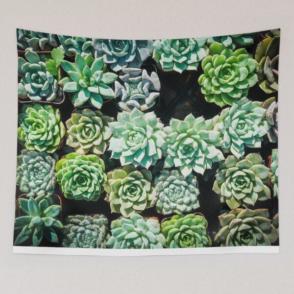 Item preview, Succulents All In a Row 2 designed and sold by Douglas E. Welch Design and Photography.