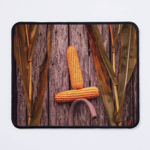 Item preview, Corn Display designed and sold by Jim Love.