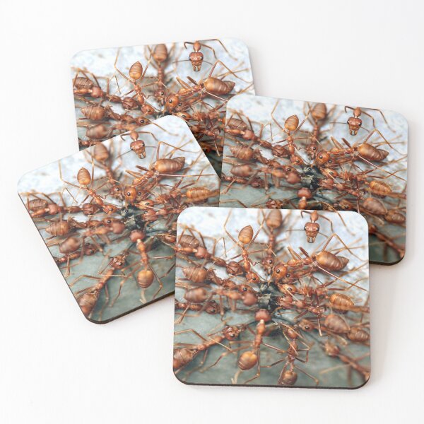 Item preview, Ants designed and sold by JacJaq.