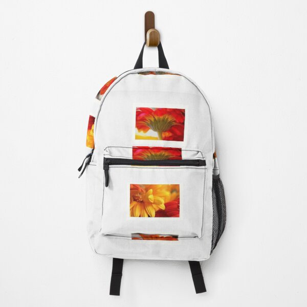 Item preview, Dreams designed and sold by equilibrio.