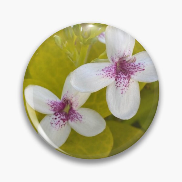 Item preview, Small white Hawaiian Flowers designed and sold by Bloom-N-Blossom.