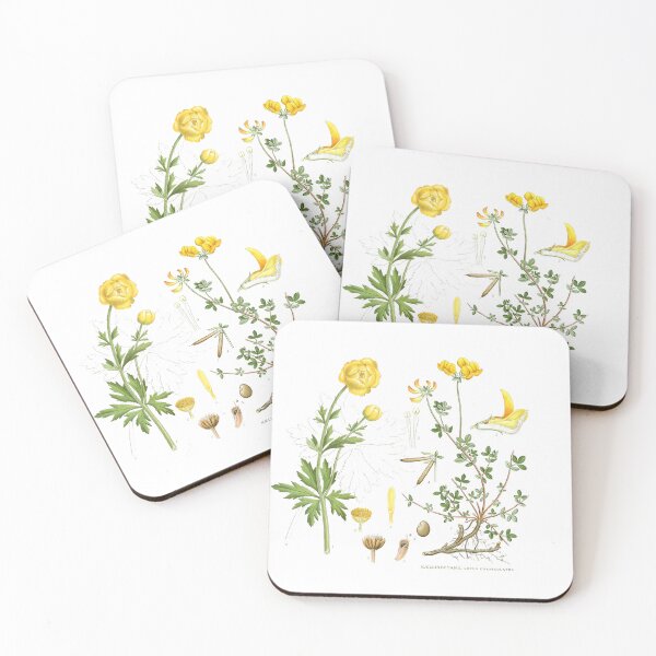 Item preview, Vintage Botanical Wildflowers - Yellow Meadow Floral Illustration designed and sold by Mad-by-The-O.