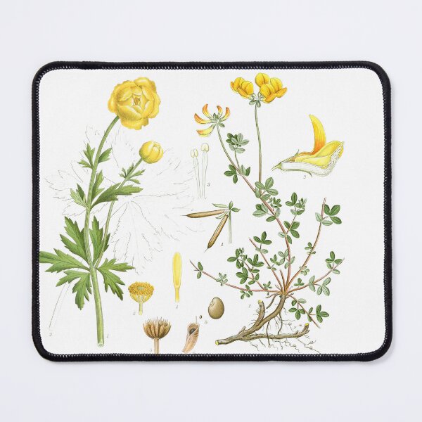 Item preview, Vintage Botanical Wildflowers - Yellow Meadow Floral Illustration designed and sold by Mad-by-The-O.