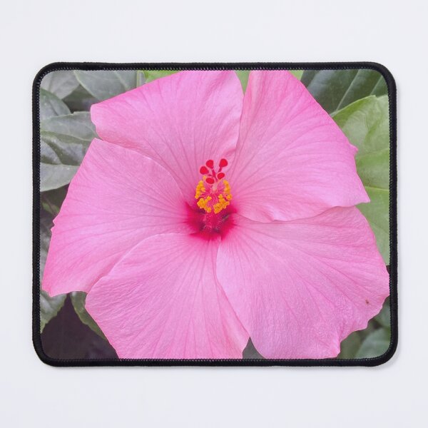 Item preview, Pink Hibiscus Flower designed and sold by Bloom-N-Blossom.