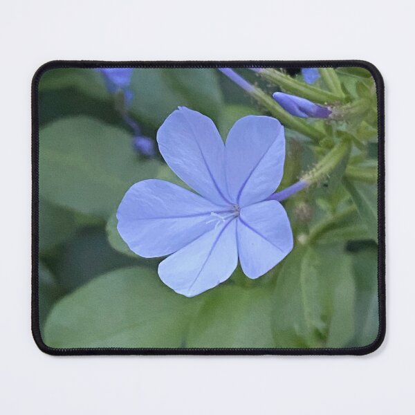 Item preview, Purple Kauai Flower designed and sold by Bloom-N-Blossom.