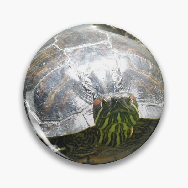 Item preview, Sunbathing Terrapin Photograph designed and sold by naturegallery.