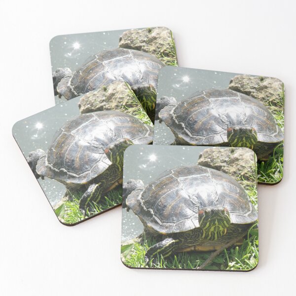 Item preview, Sunbathing Terrapin Photograph designed and sold by naturegallery.
