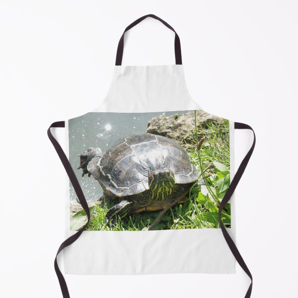 Item preview, Sunbathing Terrapin Photograph designed and sold by naturegallery.