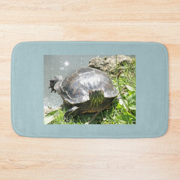 Item preview, Sunbathing Terrapin Photograph designed and sold by naturegallery.