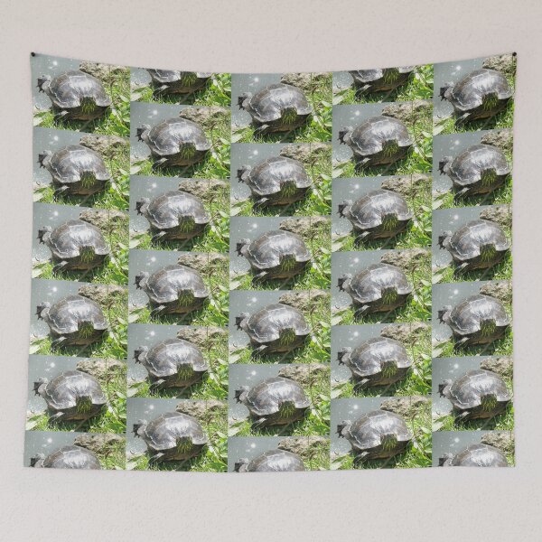 Item preview, Sunbathing Terrapin Photograph designed and sold by naturegallery.