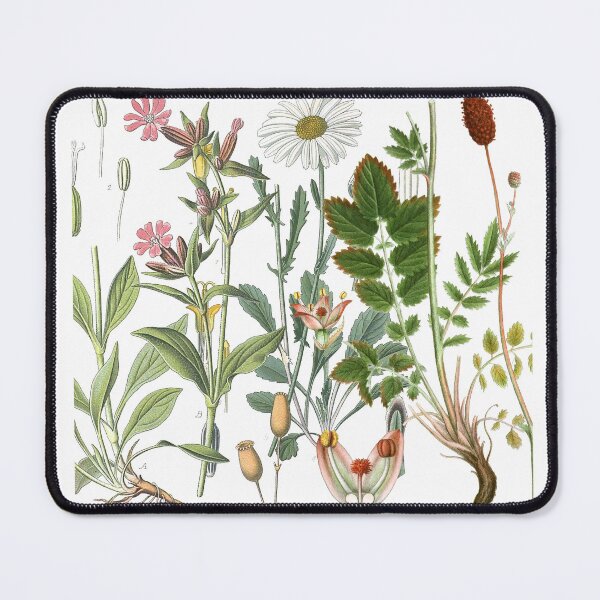 Item preview, Vintage Botanical Wildflowers - Pink and white Meadow Floral Illustration designed and sold by Mad-by-The-O.