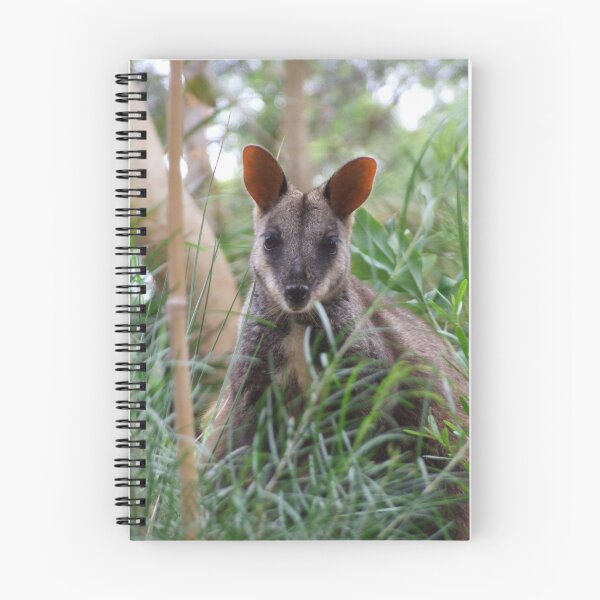 Item preview, Brush-tailed Rock Wallaby designed and sold by kirstybush.