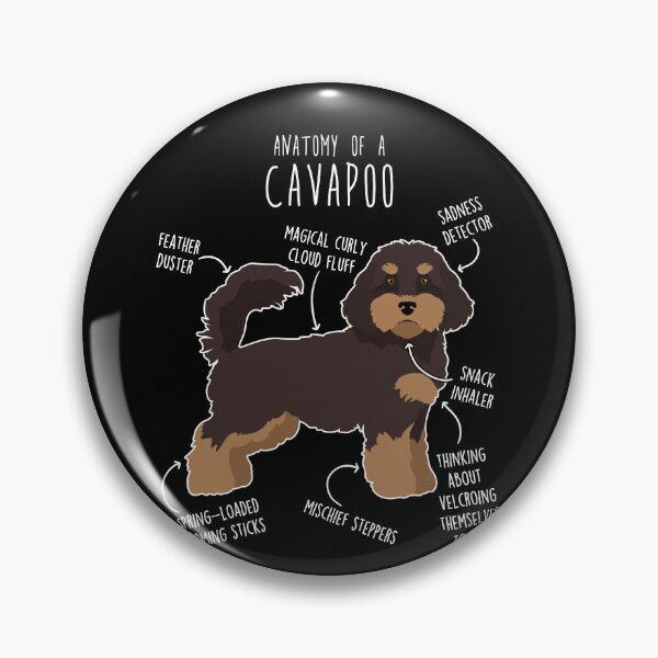 Item preview, Chocolate and Tan Cavapoo Dog Anatomy designed and sold by Clara Hollins.