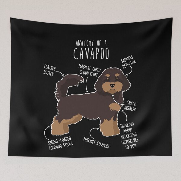 Item preview, Chocolate and Tan Cavapoo Dog Anatomy designed and sold by Clara Hollins.
