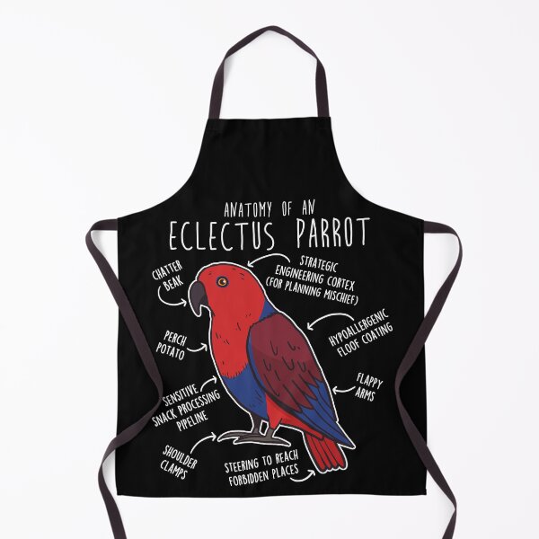 Item preview, Female Eclectus Parrot Anatomy designed and sold by Clara Hollins.