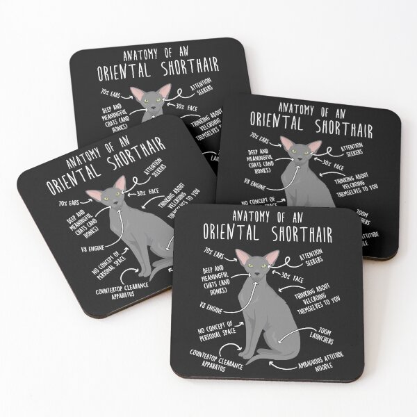 Item preview, Blue Oriental Shorthair Cat Anatomy designed and sold by Clara Hollins.