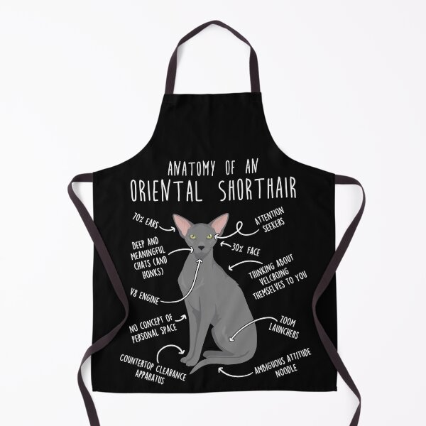 Item preview, Blue Oriental Shorthair Cat Anatomy designed and sold by Clara Hollins.