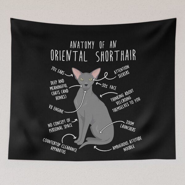 Item preview, Blue Oriental Shorthair Cat Anatomy designed and sold by Clara Hollins.