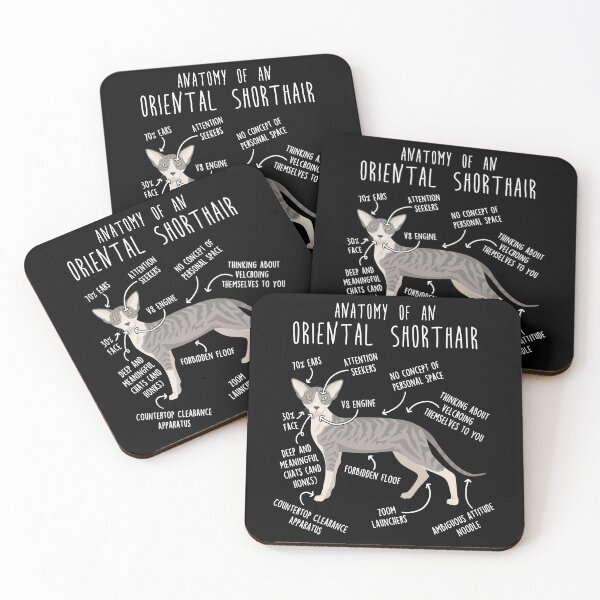 Item preview, Blue Tabby Oriental Shorthair Cat Anatomy designed and sold by Clara Hollins.