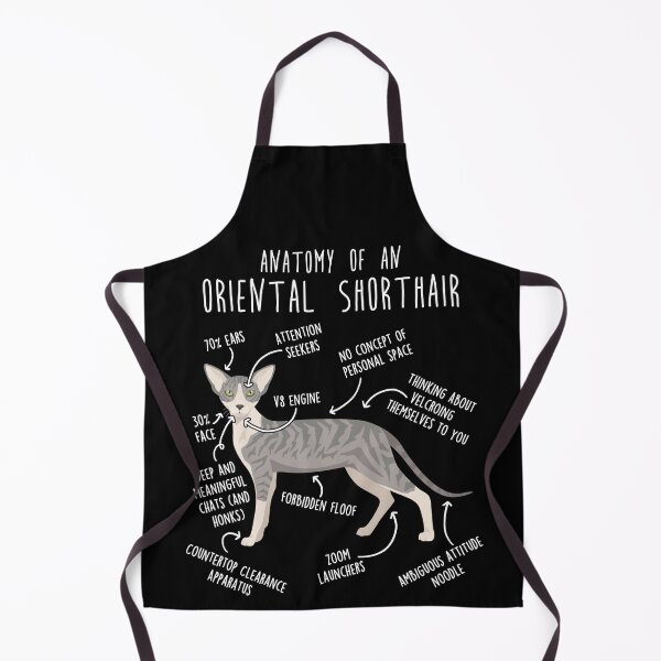 Item preview, Blue Tabby Oriental Shorthair Cat Anatomy designed and sold by Clara Hollins.