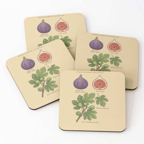 Item preview, Purple Fig Fruit Botanical Specimen Branch Study designed and sold by capricedefille.