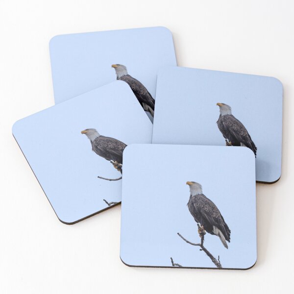 Item preview, Single Bald Eagle in majestic pose looking into the distance designed and sold by lisavonbiela.