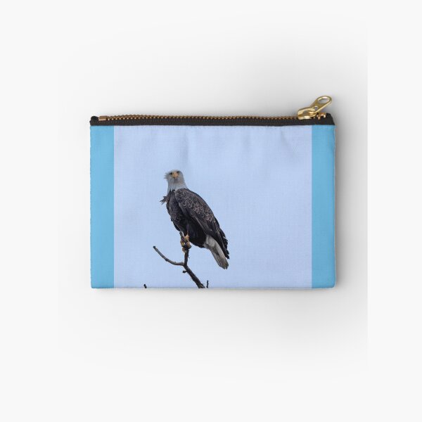 Item preview, Bald Eagle with "Are you looking at me?" expression designed and sold by lisavonbiela.