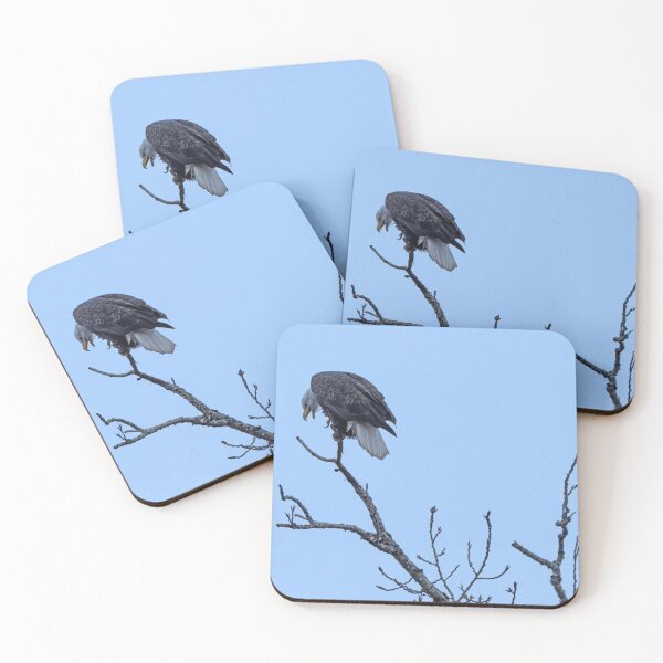 Item preview, Bald Eagle blissfully scratching himself designed and sold by lisavonbiela.