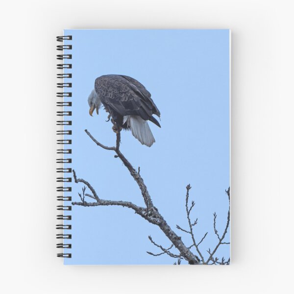 Item preview, Bald Eagle blissfully scratching himself designed and sold by lisavonbiela.