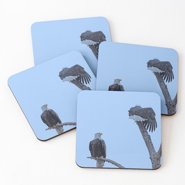 Item preview, Bald Eagle pair with one stretching its wing and tail designed and sold by lisavonbiela.