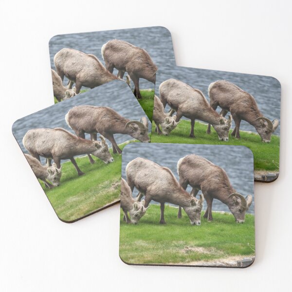 Item preview, California Bighorn Sheep Trio designed and sold by PementPhotoArt.