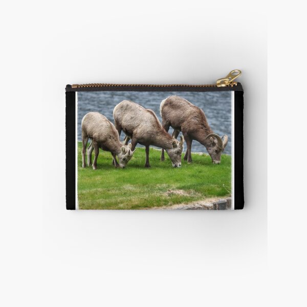 Item preview, California Bighorn Sheep Trio designed and sold by PementPhotoArt.