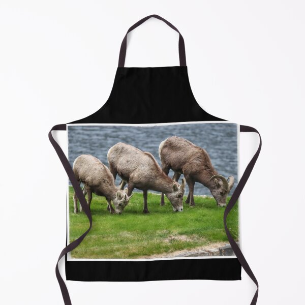 Item preview, California Bighorn Sheep Trio designed and sold by PementPhotoArt.