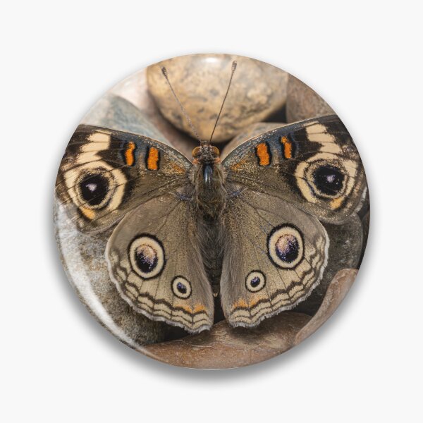 Item preview, Buckeye on The Trail designed and sold by Fultz-Brothers.