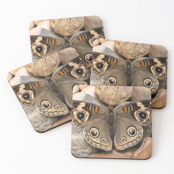 Item preview, Buckeye on The Trail designed and sold by Fultz-Brothers.
