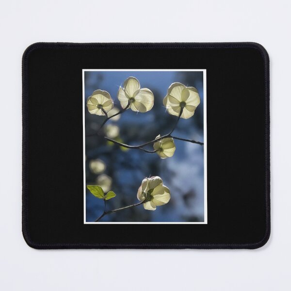Item preview, Dogwood; British Columbia’s Provincial Flower designed and sold by PementPhotoArt.