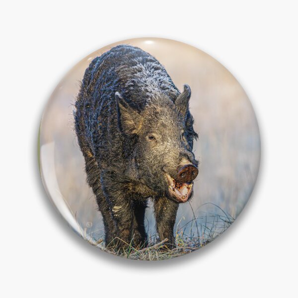 Item preview, Eurasian Wild Pig designed and sold by Fultz-Brothers.