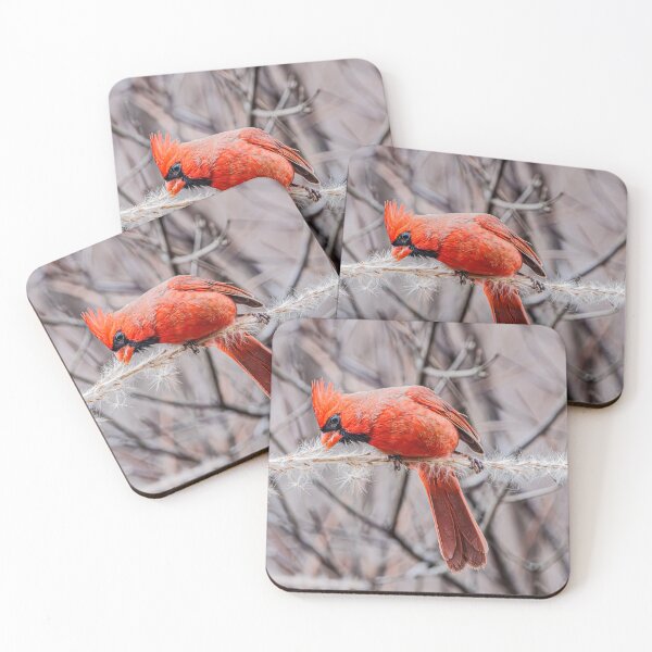 Item preview, Winter Cardinal designed and sold by Fultz-Brothers.