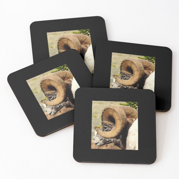 Item preview, The Full Curl designed and sold by PementPhotoArt.