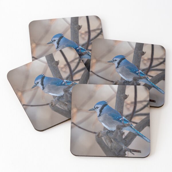 Item preview, Blue jay against an earthy background designed and sold by jsvachon.