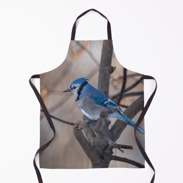 Item preview, Blue jay against an earthy background designed and sold by jsvachon.