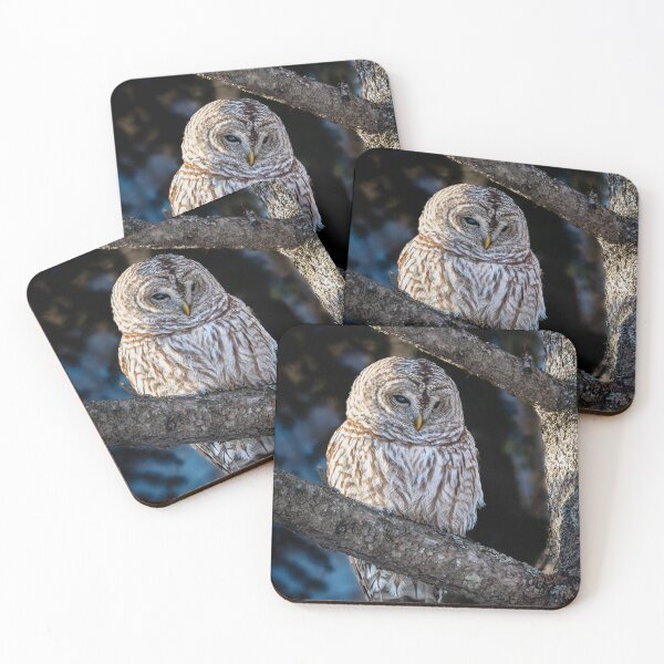 Item preview, Striped owl designed and sold by jsvachon.