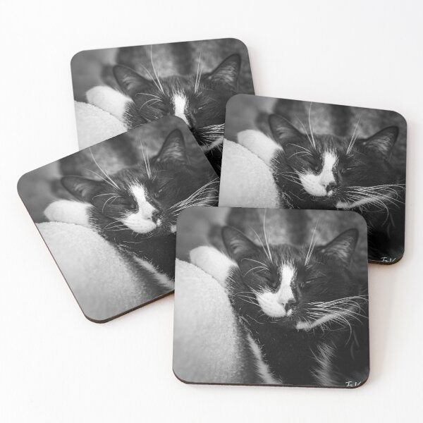 Item preview, Black and white cat, very comfy designed and sold by jsvachon.