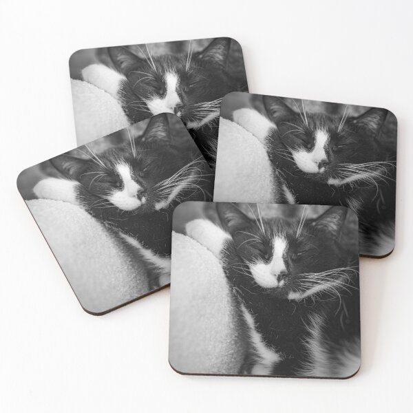 Item preview, Black and white cat, very comfy designed and sold by jsvachon.