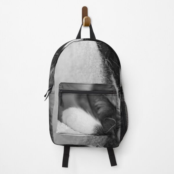 Item preview, Black and white cat, very comfy designed and sold by jsvachon.