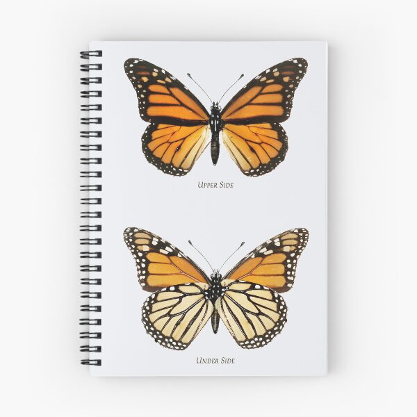 Item preview, Monarch Butterfly Vintage Scientific Illustration designed and sold by buglevel.