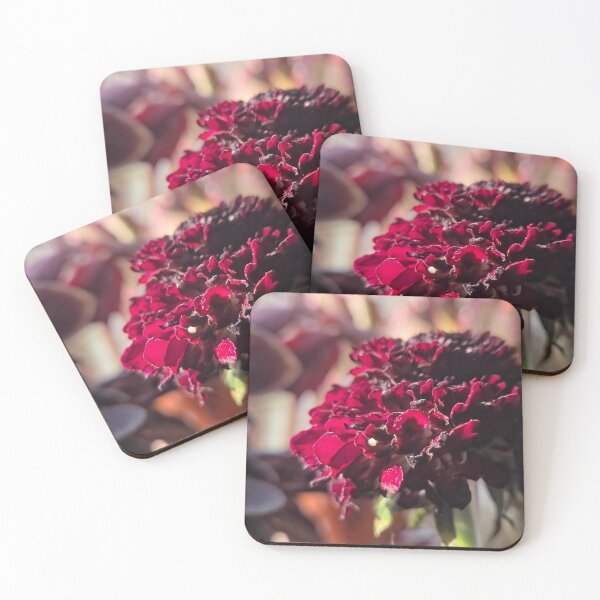 Item preview, Shadows to Light designed and sold by Betsy Phillips.