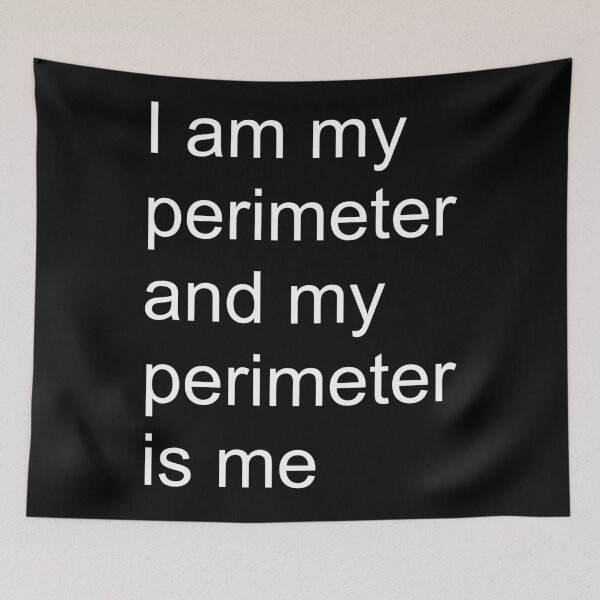 Item preview, I Am My Perimeter And My Perimeter Is Me Viral Meme Shirt | Funny Gaming Military Humor Tee designed and sold by auradesign.