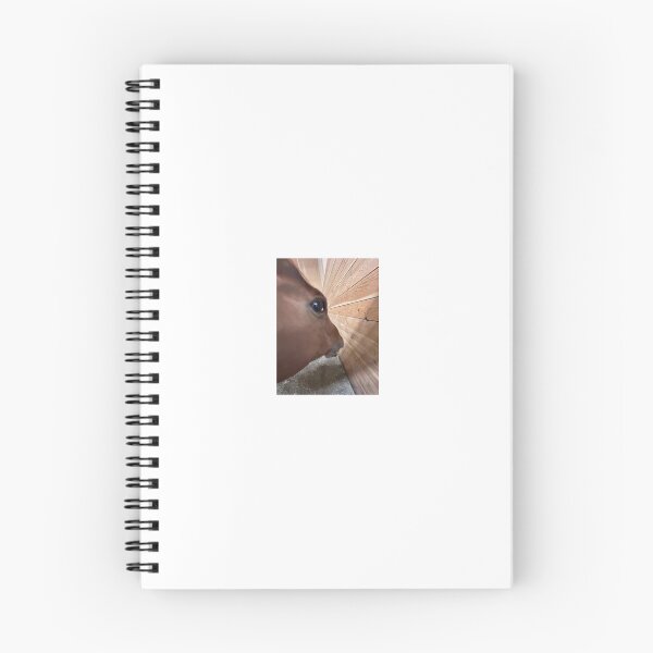 Item preview, Horse side eye reaction pic designed and sold by Zigzagletters.